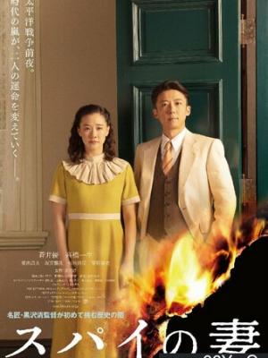 热门影视